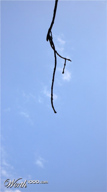 Photography by sausirhi