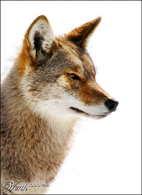 Photography by SigloV