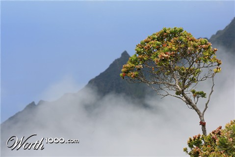Photography by Tosu89