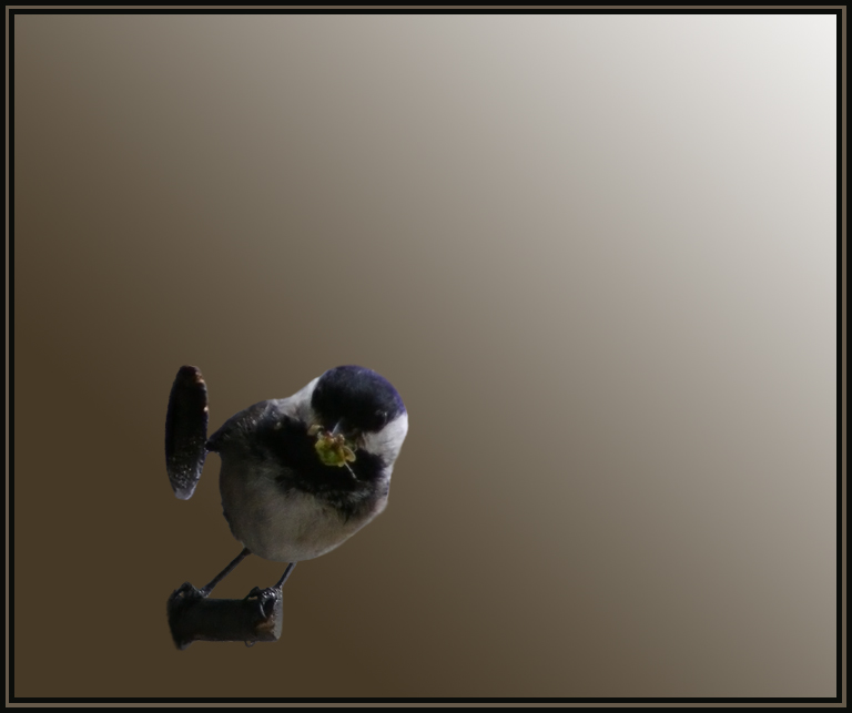 Fotografie von Feature für DesignCrowd (Community Contests) | Design #8971629