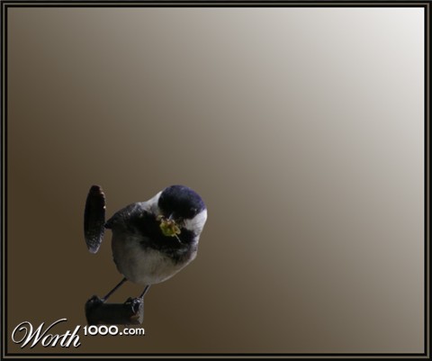 Photography by Feature