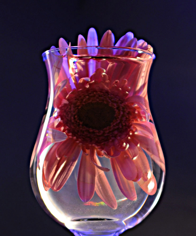 Photography by Isabella2006 for DesignCrowd (Community Contests) | Design #8977785