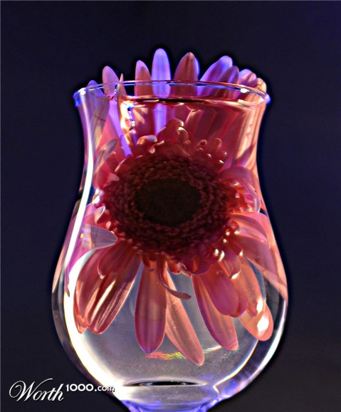 Photography by Isabella2006