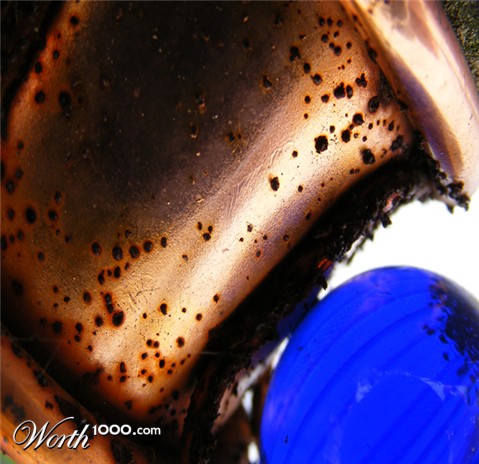 Photography by Safekeeper