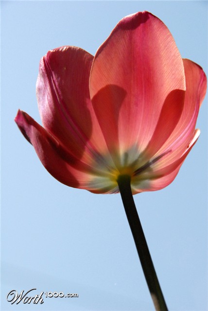 Photography by 2carmen7