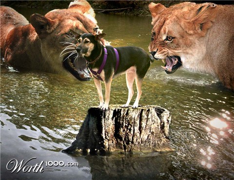 Photoshop Design by Acousticrat