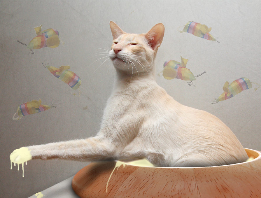 Diseño de Photoshop por lucimine para DesignCrowd (Community Contests) | Diseño #8979499