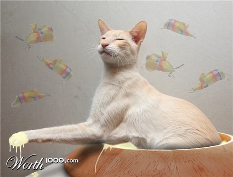 Photoshop Design by lucimine