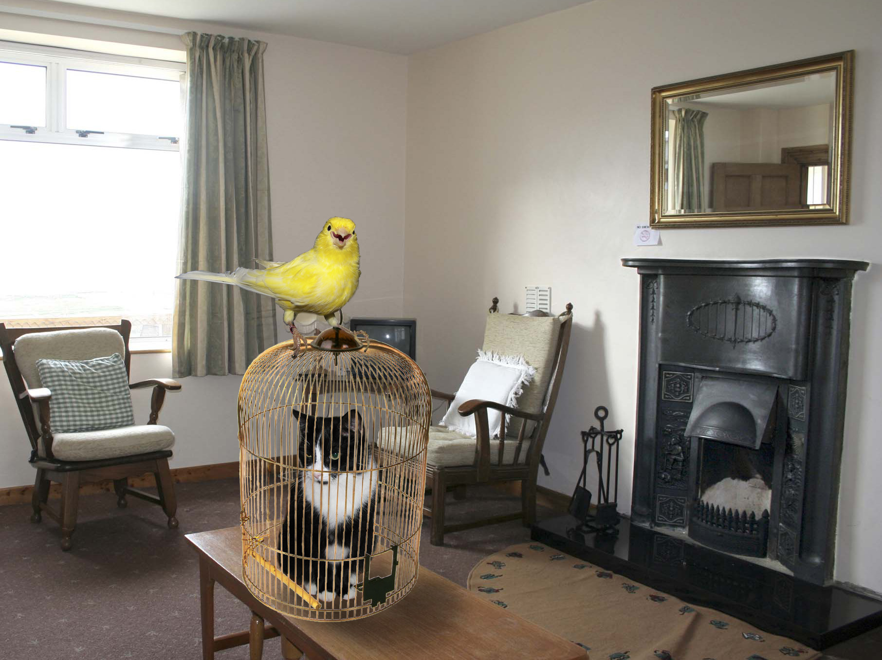 Diseño de Photoshop por Roymeddy para DesignCrowd (Community Contests) | Diseño #8979440