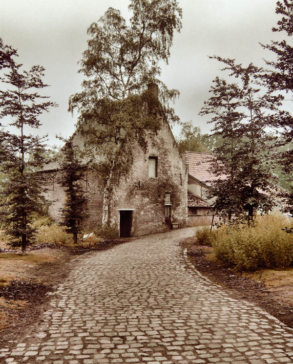 Photographie par colleague pour DesignCrowd (Community Contests) | Design #8971708