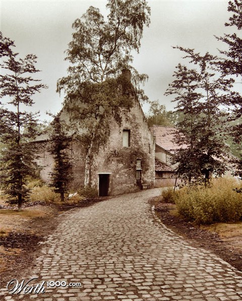 Photography by colleague