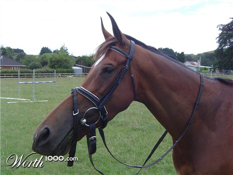 Photoshop Design by NthN