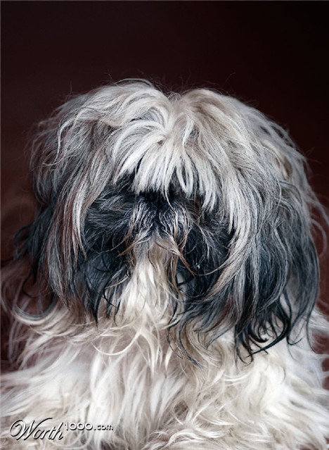 Photography by damas100