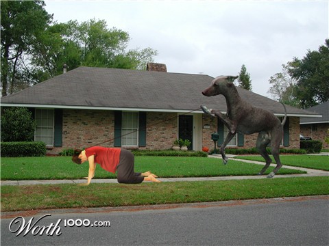 Photoshop Design by NthN