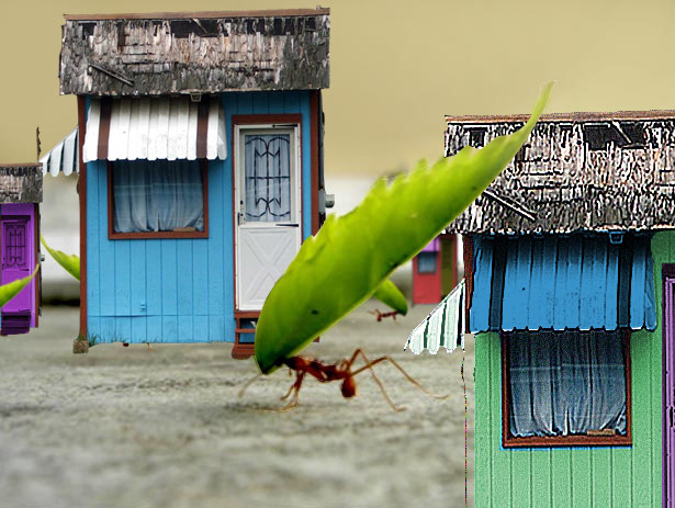 Photoshop Design by WorthyNick for DesignCrowd (Community Contests) | Design #8980476