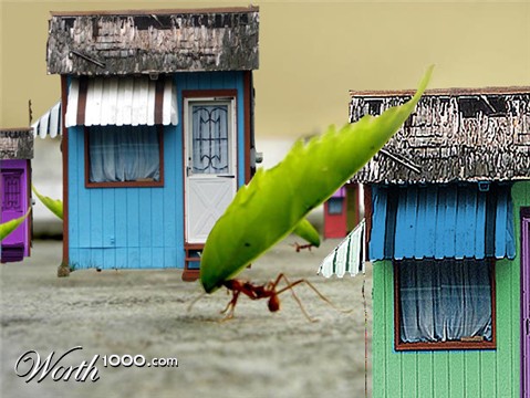 Photoshop Design by WorthyNick