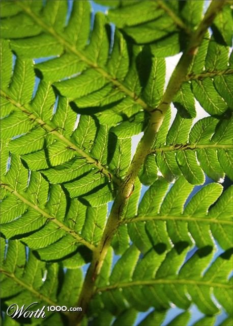 Photography by matstake