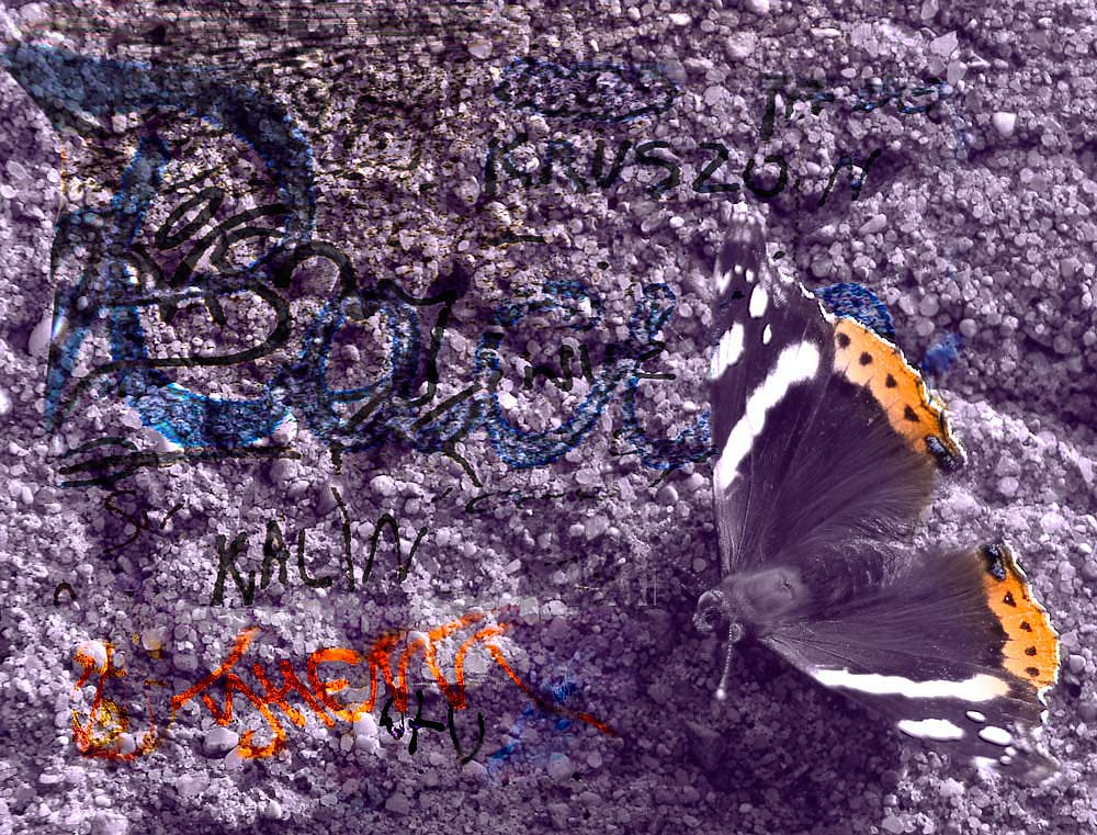 Photography by amorfic for DesignCrowd (Community Contests) | Design #8971722