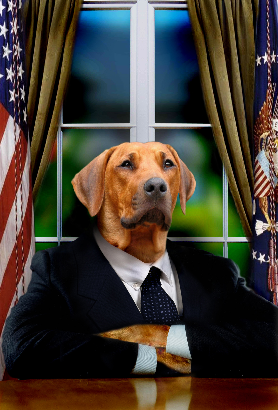 Photoshop Design by Bebo21 for DesignCrowd (Community Contests) | Design #8979596