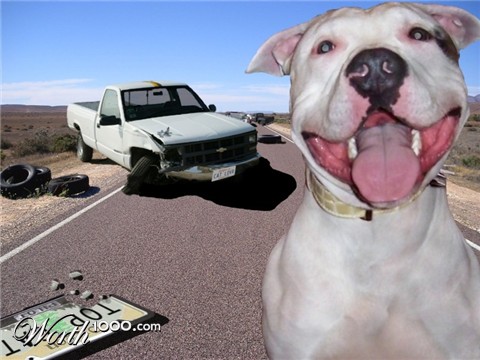 Photoshop Design by ClumsyJuggler