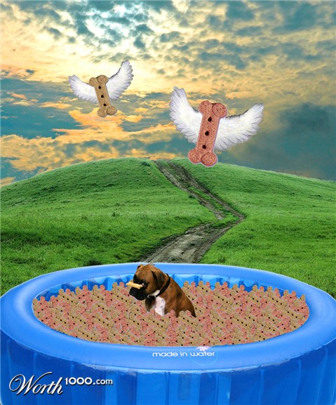Photoshop Design by snipaa