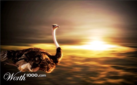 Photoshop Design by matstake