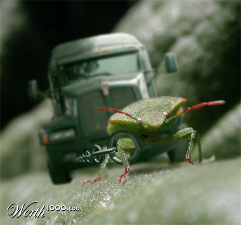 Photoshop Design by Bluepineapple