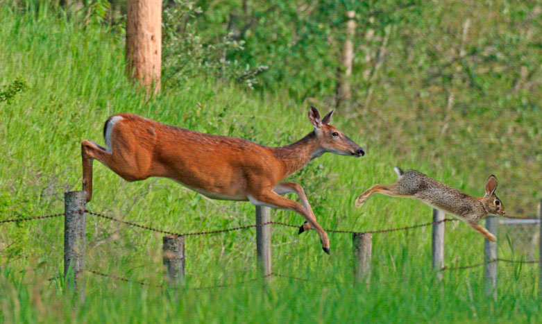 Design Photoshop par honnelsohonn pour DesignCrowd (Community Contests) | Design #8980299