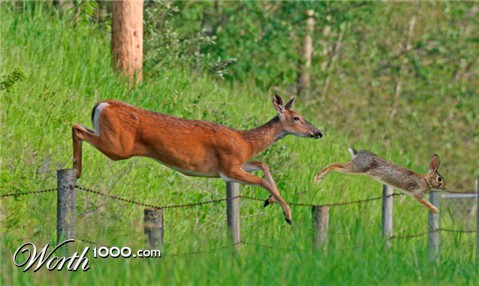 Photoshop Design by honnelsohonn