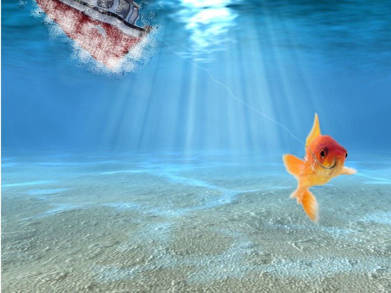 Photoshop Design by caroline3746 for DesignCrowd (Community Contests) | Design #8980309