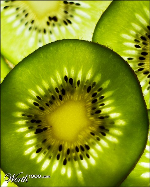 Photography by ahutty