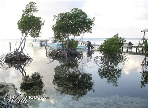 Photography by Ajudith