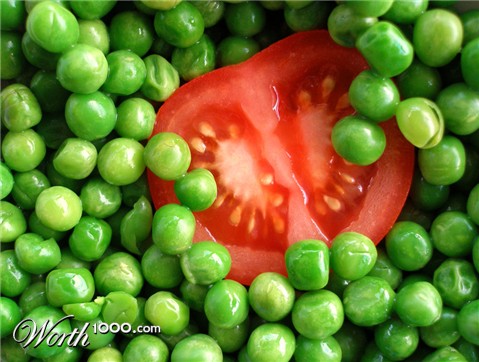 Photography by Andromeda5000