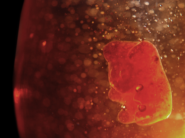 Fotografía por SeeVee para DesignCrowd (Community Contests) | Diseño #8977862