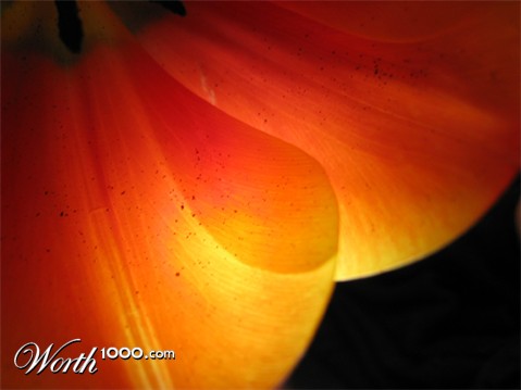 Photography by comicgirl