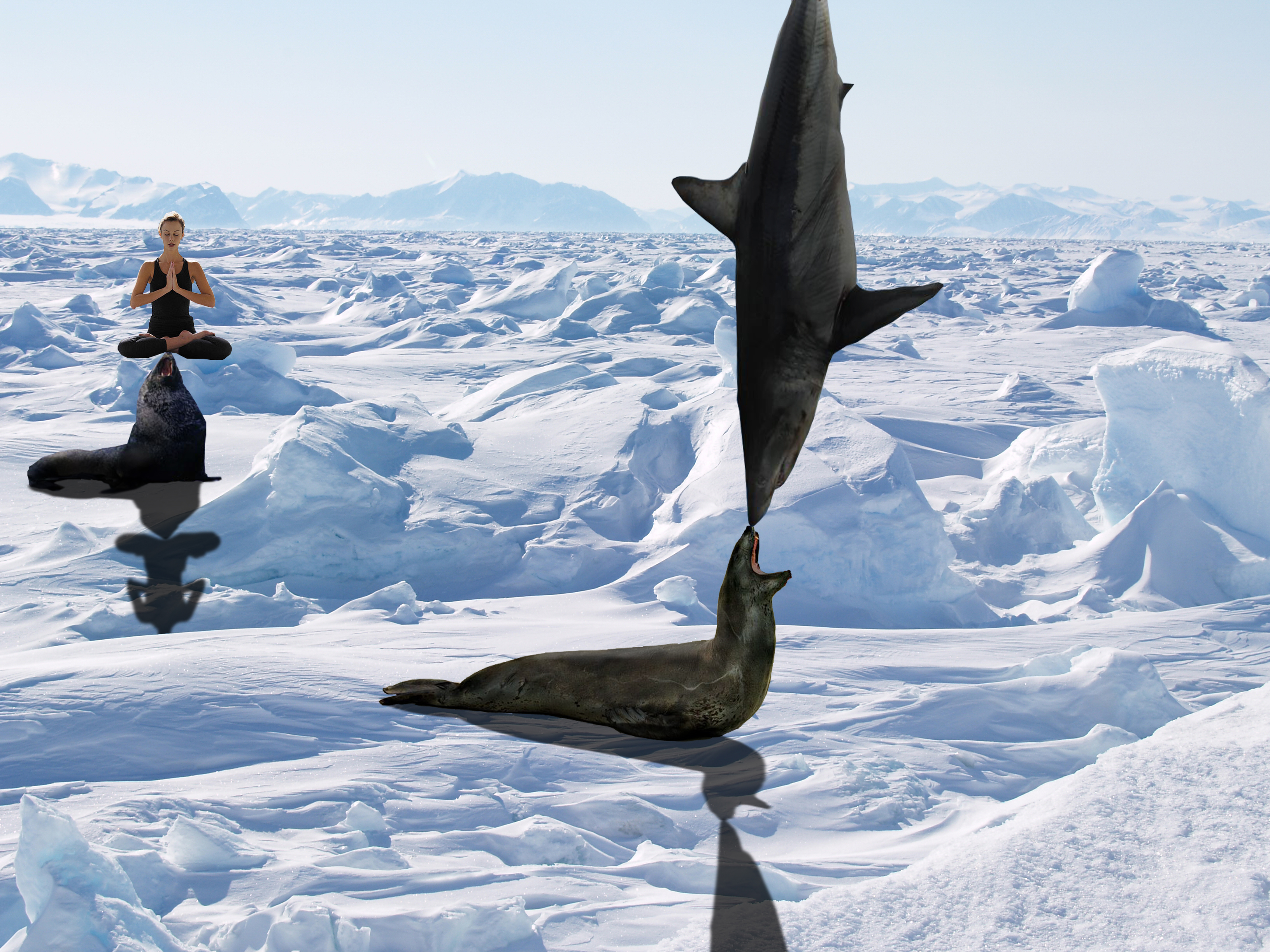 Photoshop Design by alesiphoto for DesignCrowd (Community Contests) | Design #8980350