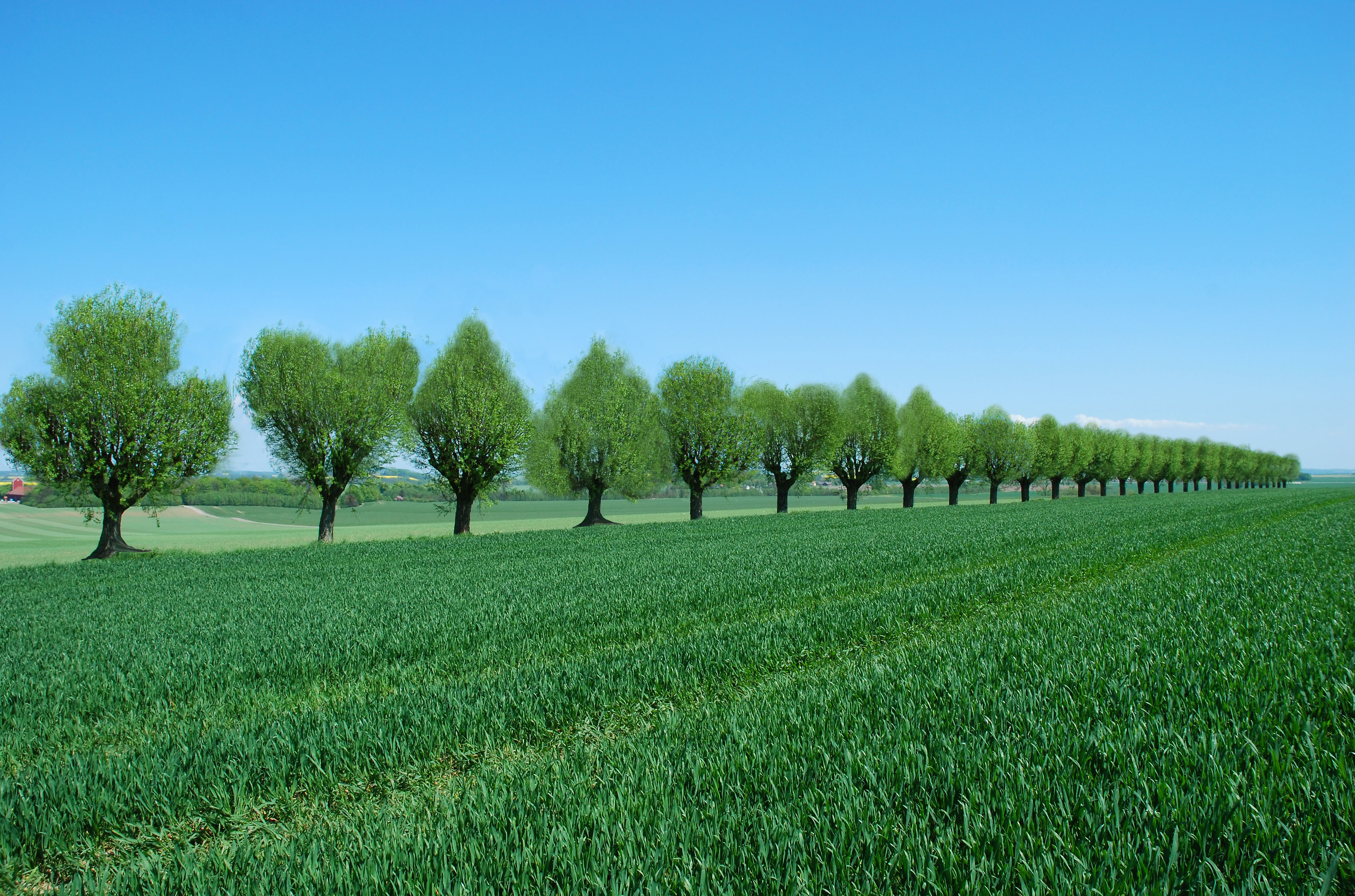 Diseño de Photoshop por danielkr para DesignCrowd (Community Contests) | Diseño #8975185