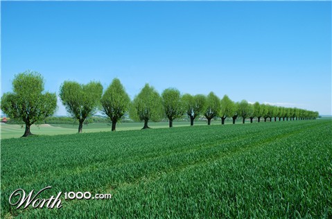 Photoshop Design by danielkr