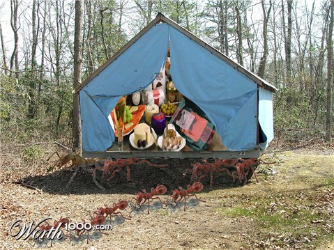 Photoshop Design by Pucker