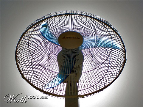 Photography by amirbse