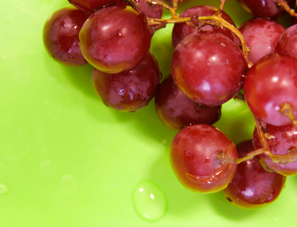 Photography by pinkfly for DesignCrowd (Community Contests) | Design #8972842