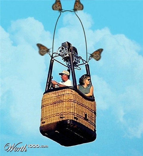Photoshop Design by LadyHawk771