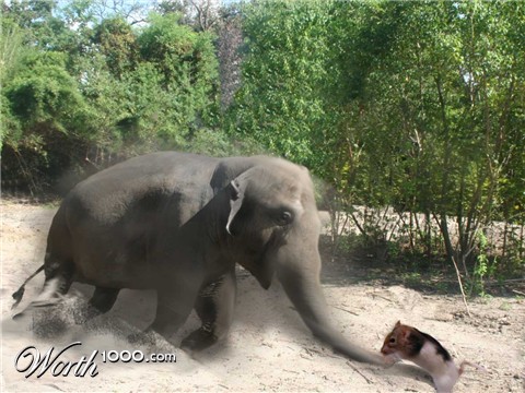 Photoshop Design by amalmansy