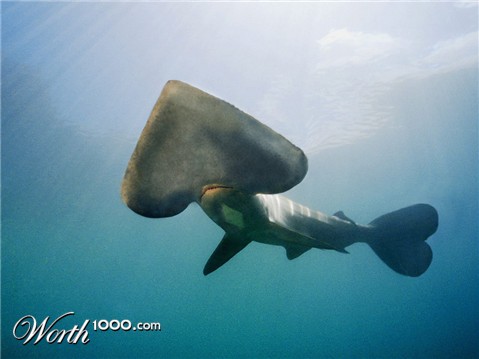 Photoshop Design by robotlick