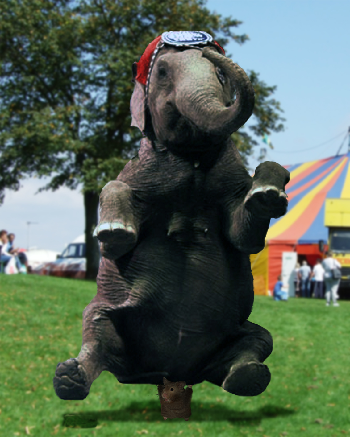 Photoshop Design by masterkmx for DesignCrowd (Community Contests) | Design #8980364