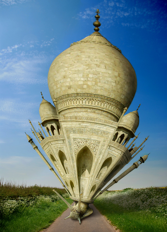 Photoshop Design by blazingstar for DesignCrowd (Community Contests) | Design #8980334