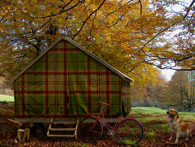 Photoshop Design by fedelop for DesignCrowd (Community Contests) | Design #8975150