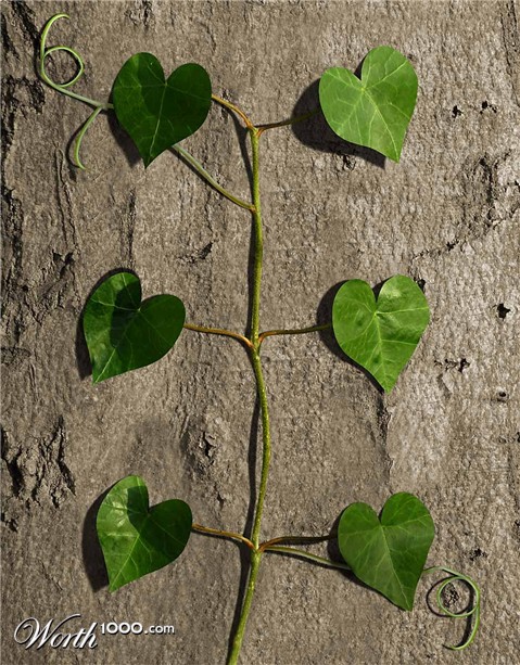 Photoshop Design by luise1