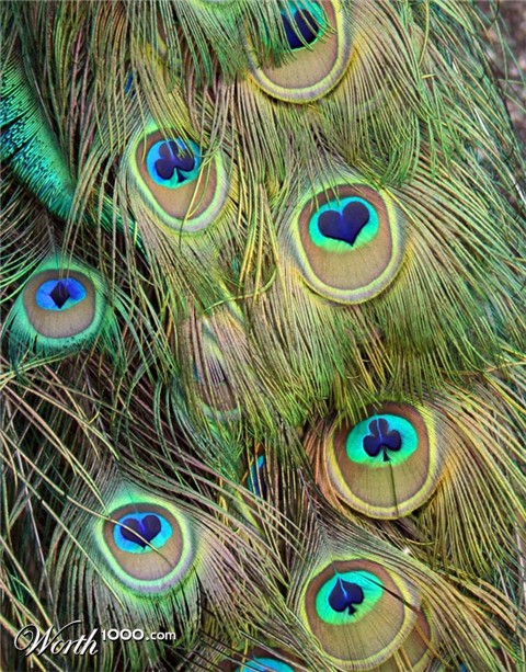 Photoshop Design by lucimine