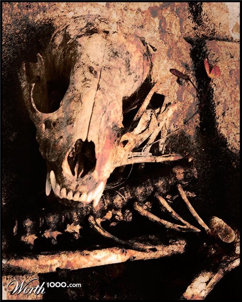 Photography by bozosafari